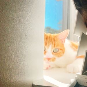 Meet your Posher, Yoosun